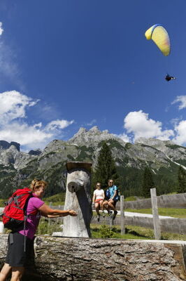 Edelweiss - Photo 32