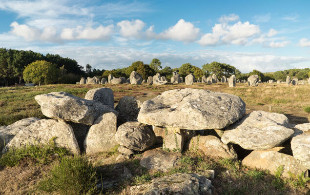 Les Voiles - Photo 21