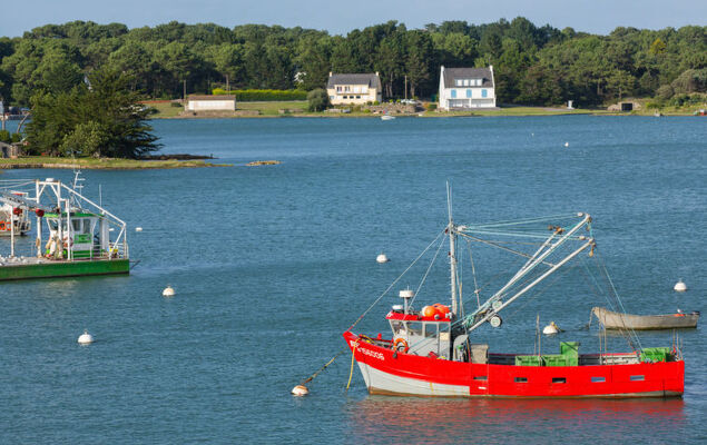 Les Voiles - Photo 22
