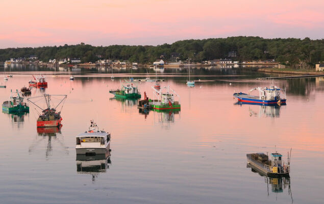 Les Voiles - Photo 24