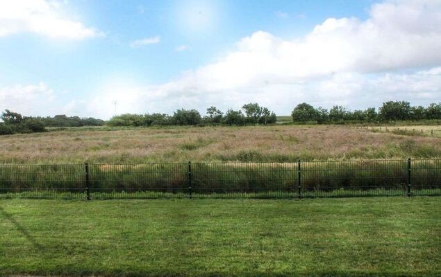 Herzmuschel - Photo 12