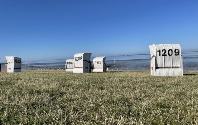 Herzmuschel - Photo 17