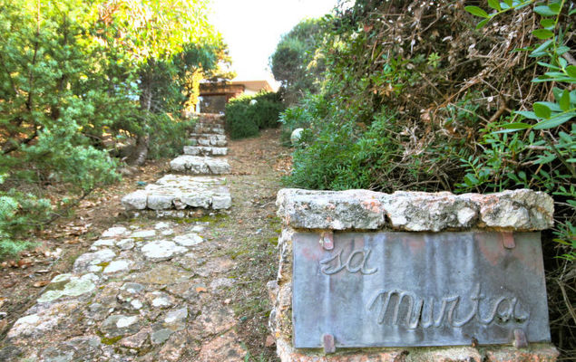 Sa Murta - Photo 7